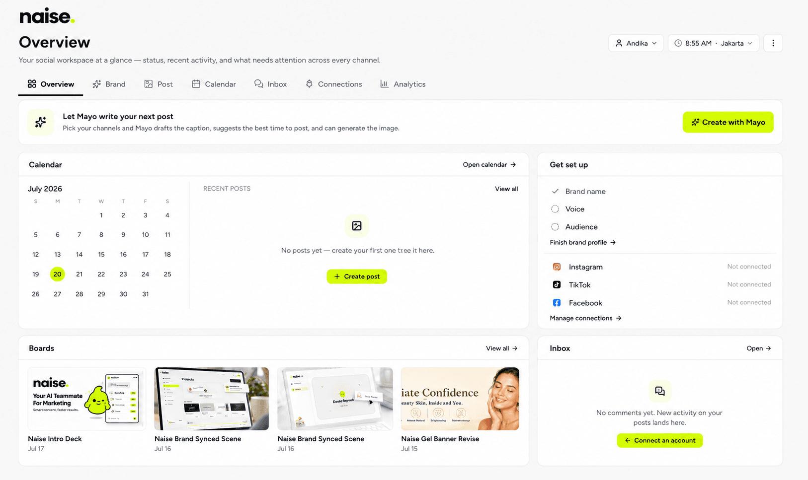 Executing Campaigns with Naise AI
